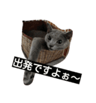 あらた君の日常（個別スタンプ：11）
