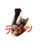 あらた君の日常（個別スタンプ：12）