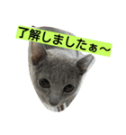 あらた君の日常（個別スタンプ：13）