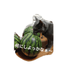 あらた君の日常（個別スタンプ：15）