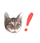 ねこスタ2（個別スタンプ：8）