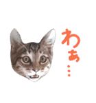 ねこスタ2（個別スタンプ：9）