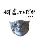 ねこスタ2（個別スタンプ：11）