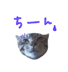 ねこスタ2（個別スタンプ：14）
