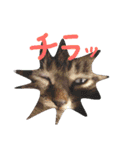 ねこスタ2（個別スタンプ：32）