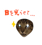 ねこスタ2（個別スタンプ：33）