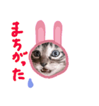 ねこスタ2（個別スタンプ：34）