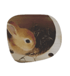 うさぎのちゅらちゃん（個別スタンプ：2）