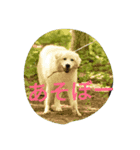dix.neufstmp（個別スタンプ：1）