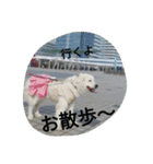 dix.neufstmp（個別スタンプ：8）