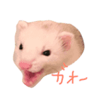 ゴン太くんのスタンプ（個別スタンプ：1）