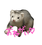 ゴン太くんのスタンプ（個別スタンプ：8）