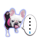 フレブルれりちゃん（個別スタンプ：2）