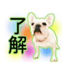 フレブルれりちゃん（個別スタンプ：5）