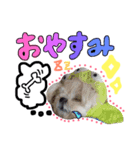 kairiku（個別スタンプ：1）