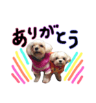 kairiku（個別スタンプ：3）