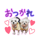 kairiku（個別スタンプ：7）