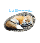 きつねちゃんのお家。（個別スタンプ：12）