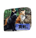 きつねちゃんのお家。（個別スタンプ：22）