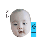 きいたん（個別スタンプ：1）