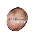 きいたん（個別スタンプ：11）