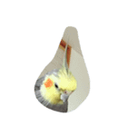 まるちゃんが。（個別スタンプ：4）