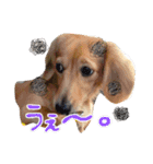 lala part1（個別スタンプ：6）
