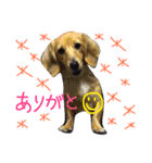 lala part1（個別スタンプ：7）