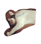 ムムオ（個別スタンプ：4）