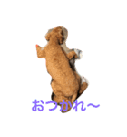 プードル日常会話（個別スタンプ：6）