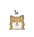 Kikii the Dog（個別スタンプ：1）