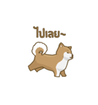 Kikii the Dog（個別スタンプ：3）