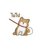 Kikii the Dog（個別スタンプ：4）