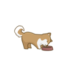 Kikii the Dog（個別スタンプ：6）