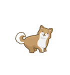 Kikii the Dog（個別スタンプ：12）