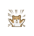 Kikii the Dog（個別スタンプ：13）
