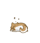 Kikii the Dog（個別スタンプ：14）