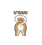 Kikii the Dog（個別スタンプ：16）