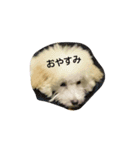 こまめのひとりごと（個別スタンプ：2）