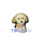こまめのひとりごと（個別スタンプ：8）