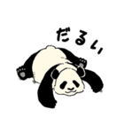 クマざさパンダ（個別スタンプ：4）