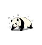 クマざさパンダ（個別スタンプ：30）