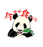 クマざさパンダ（個別スタンプ：32）