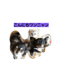 bibi＆chicchi＆kuuta（個別スタンプ：1）