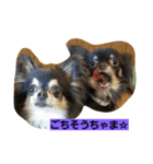 bibi＆chicchi＆kuuta（個別スタンプ：5）
