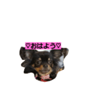 bibi＆chicchi＆kuuta（個別スタンプ：8）