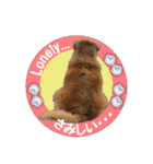 ゴールデンレトのお仕事犬 すてっぷ（個別スタンプ：18）