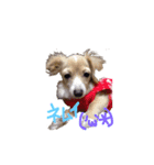 愛犬つなの日常（個別スタンプ：7）