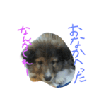vigor（個別スタンプ：1）