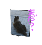 vigor（個別スタンプ：3）